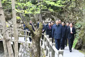 习近平为何如此重视秦岭保护？图片