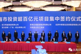 集中签约落户北海的五个超百亿元项目，都是什么来头？图片