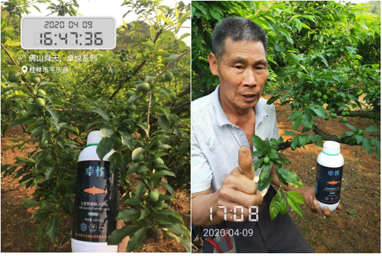 深海天然左旋氨基酸来袭！抗逆、促长、增产，用户用了直夸好