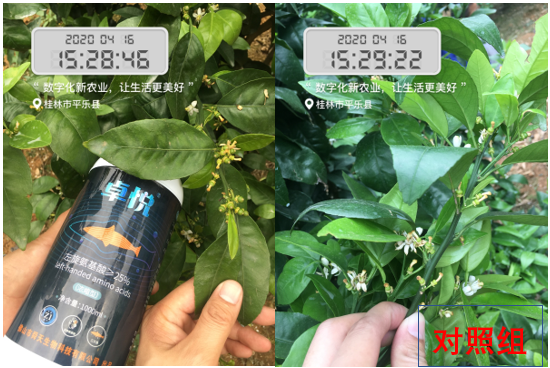 深海天然左旋氨基酸来袭！抗逆、促长、增产，用户用了直夸好