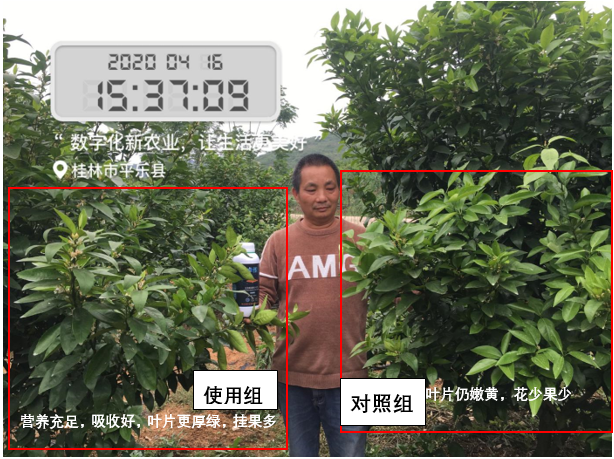 深海天然左旋氨基酸来袭！抗逆、促长、增产，用户用了直夸好