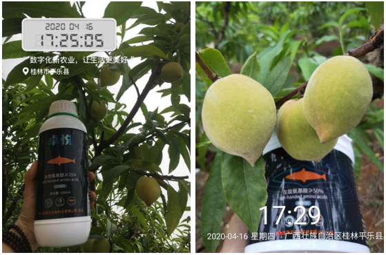 深海天然左旋氨基酸来袭！抗逆、促长、增产，用户用了直夸好