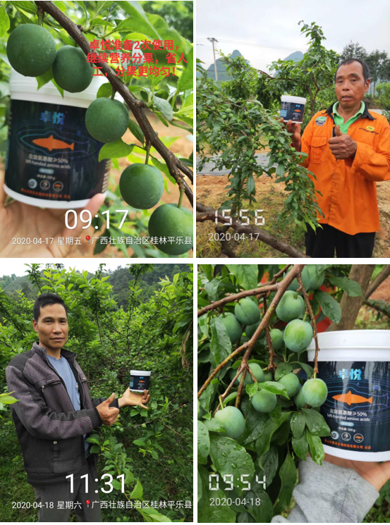 深海天然左旋氨基酸来袭！抗逆、促长、增产，用户用了直夸好