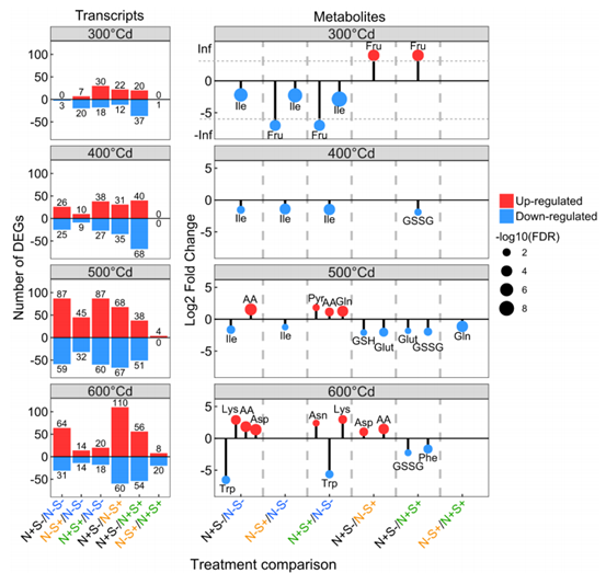 舶来赏析｜多组学数据揭示缺硫条件下一粒小麦籽粒蛋白的组成和调控（pp2020）