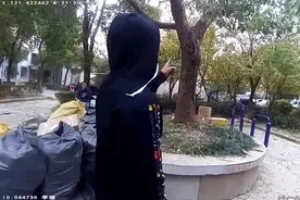 宝山一小区惊现尼罗河巨蜥吓坏众人，民警紧急处置图片
