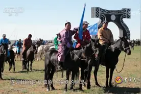 中华民族：阿巴嘎黑马的遗传资源历史悠久，是内蒙古四大名马之一视频封面