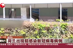 荷兰出现貂感染新冠病毒病例，政府已下令两座养殖场隔离检疫！视频封面