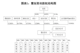 慧辰资讯IPO观察：大数据业务占比不足两成，科创属性遭疑图片