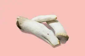 为什么蘑菇的味道那么鲜美？图片