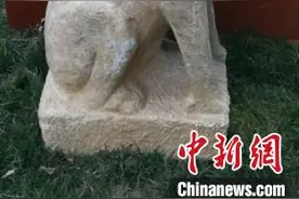 河北隆尧发现元末明初石虎雕刻 已被文保部门收藏图片