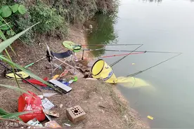 一竿拉一竿搓，再探自留地，擒获大荷包鲤一尾图片