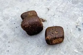 看着袋熊的方块屎，手里的巧克力不香了图片