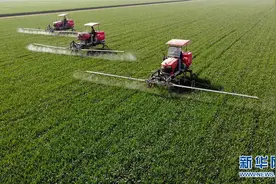 河北：“一喷三防”促丰收图片