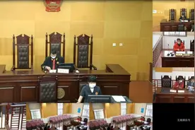 哥哥喊来亲弟弟冒充自己开庭，当庭训诫并按撤诉处理图片