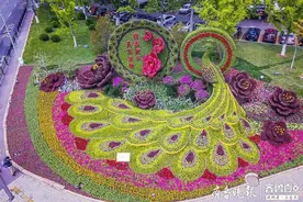 1050余万盆鲜花扮靓泉城，“花卉地图”全新亮相图片