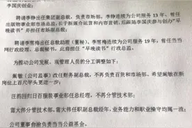 “抢”到公章后李国庆开始调整人事 当当：闹剧图片