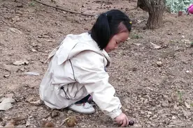 沃土｜挖中药草换来小人书，那曾是山里孩子的记忆图片