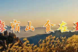 高职（专科）单招、综招填报志愿平台今日开启！图片