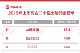 2019年上市房企二十强核心财务数据榜单图片