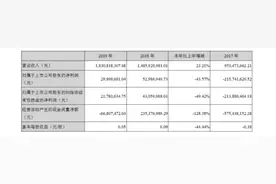 增收不增利 转型金融科技的仁东控股如何破局图片