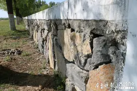 看得见的“石”标准，东营河务局狠抓工程管理图片