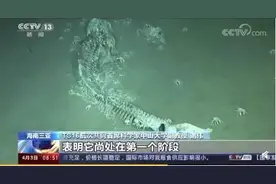 一鲸落万物生，珍惜这份大自然的温柔 | 睡前聊一会儿图片