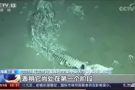 一鲸落万物生，珍惜这份大自然的温柔 | 睡前聊一会儿图片