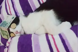 北极富豪的快乐生活，你想象不到图片