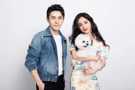 杨幂抱never微笑迷人 李佳琦大夸：“后脑勺都美”图片