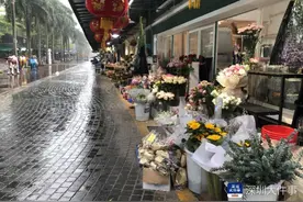 深圳打造国际花城是否要建相匹配的永久花卉市场？业内人士这样说图片