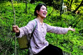 秦岭深处的“90后”美女“猪倌”图片
