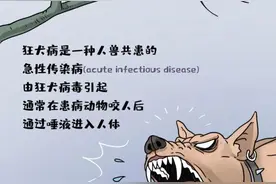狂犬病毒致死率100%，从未失手过丨图图是道图片