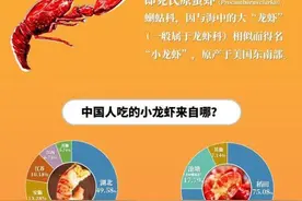 中国到底哪里的小龙虾最好吃？图片