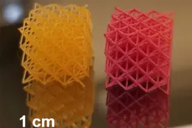 “电喷雾”技术能轻松为复杂3D打印物体上色图片
