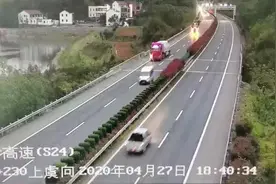 200多斤猪跳下高速，惨遭多车撞击图片
