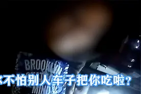 司机高速违停玩“吃鸡”民警：不怕车子把你“吃”了？图片