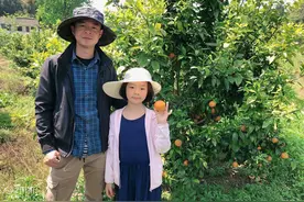 在四川种柑橘的武汉人：万斤沃柑滞销等你助力拼单图片