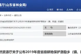 正式公布！莒县这个乡镇获省级专项激励！图片