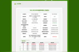 南京5幅地块成功出让，江心洲地块激战60轮刷新区域地价图片