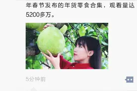 财经朋友圈｜李子柒海外粉丝破1000万，成Youtube首个粉丝破千万的中文创作者图片