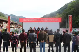 “扶贫猪”点亮“致富梦”图片