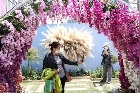 “秘密花园”对公众免费开放，顶级园艺作品扮靓上海徐家汇……图片