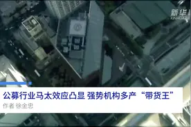 中国财富报道|公募行业马太效应凸显 强势机构多产“带货王”视频封面