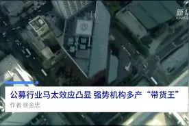 中国财富报道|公募行业马太效应凸显 强势机构多产“带货王”视频封面