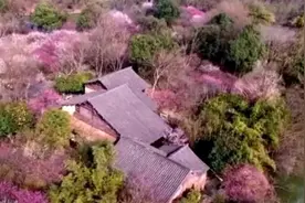 独家 | 五一将至，浙江公布20个高热度景区视频封面