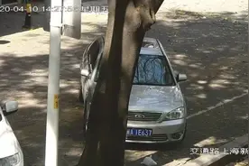 福州曝光一批机动车违法占用盲道图片