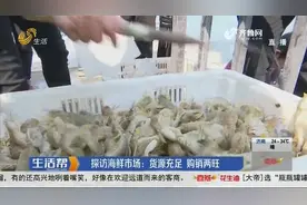 威海休渔期将至，渔民现捕现卖，新鲜“爬虾”供不应求，太火爆视频封面