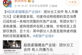 虐猫到杀人的距离，有多远？图片