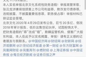 北京文化董事长被举报财务造假，举报人是原副董事长图片
