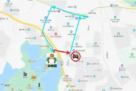 游客限量1.5万人 停车泊位1113个 游武汉动物园先看这个攻略图片